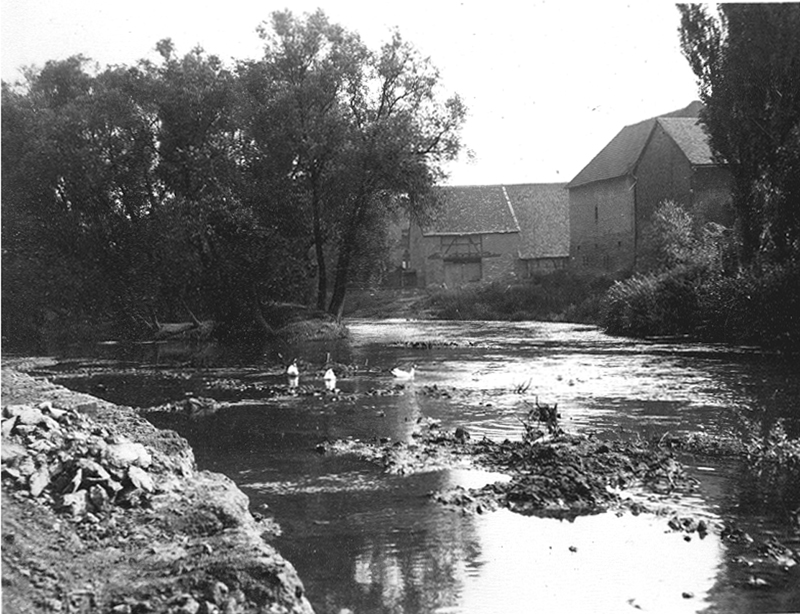 Die Stauwehre der Nidda-Mühlen bestimmten seit dem Mittelalter den Wasserstand der Nidda und damit auch den Grundwasserstand. Eschersheimer Mühle um 1928. 