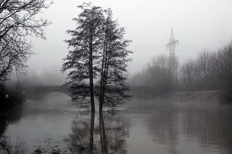 Höchster Wehr: Januarhochwasser 2011; im Hintergrund die historische Nieder Eisenbahnbrücke